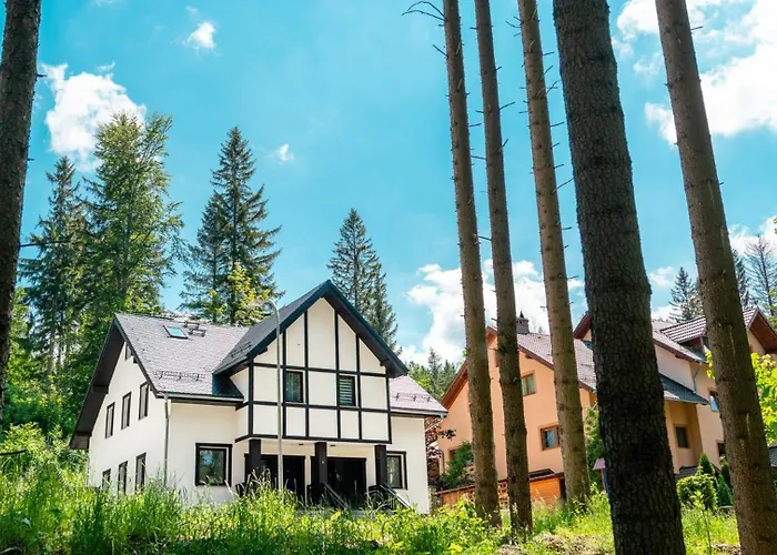 Apartament Dwupoziomowy Szyszka